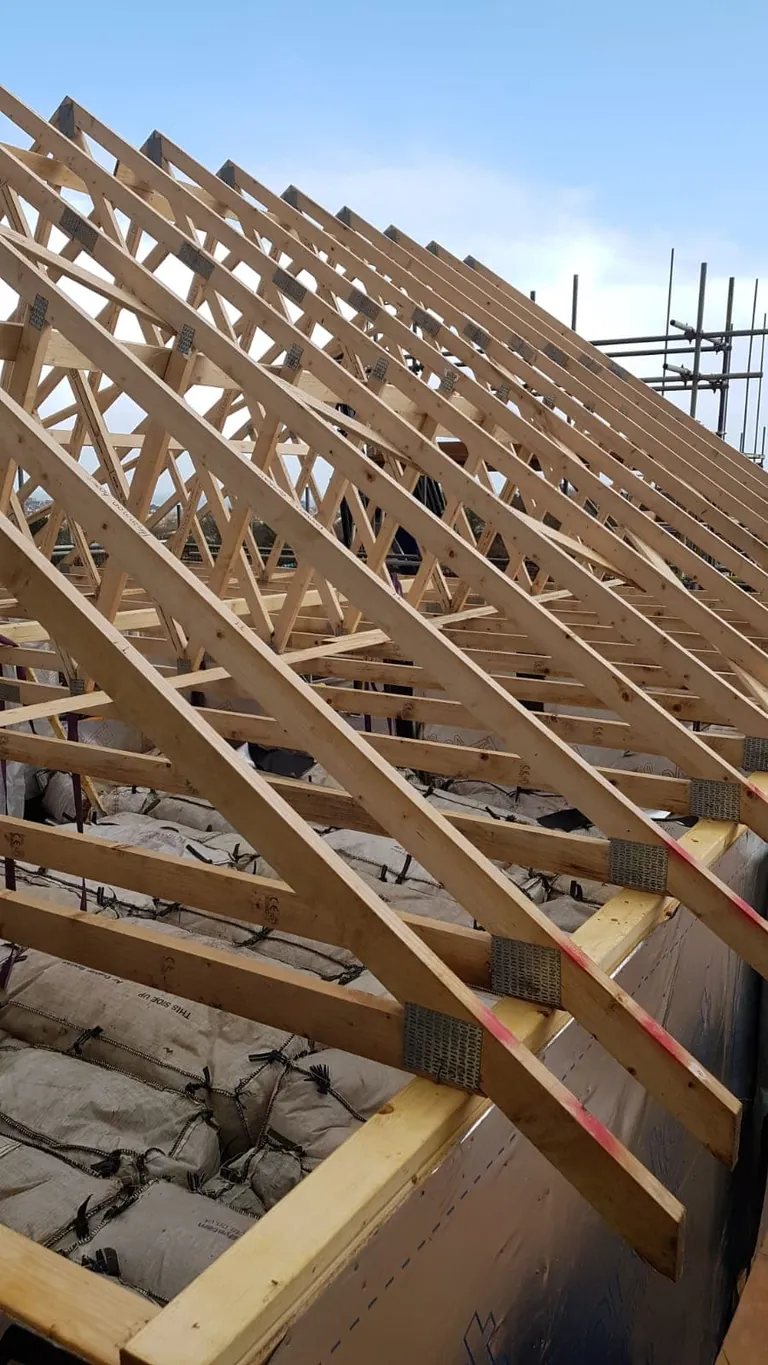 Cut roof rafters going up on a new roof